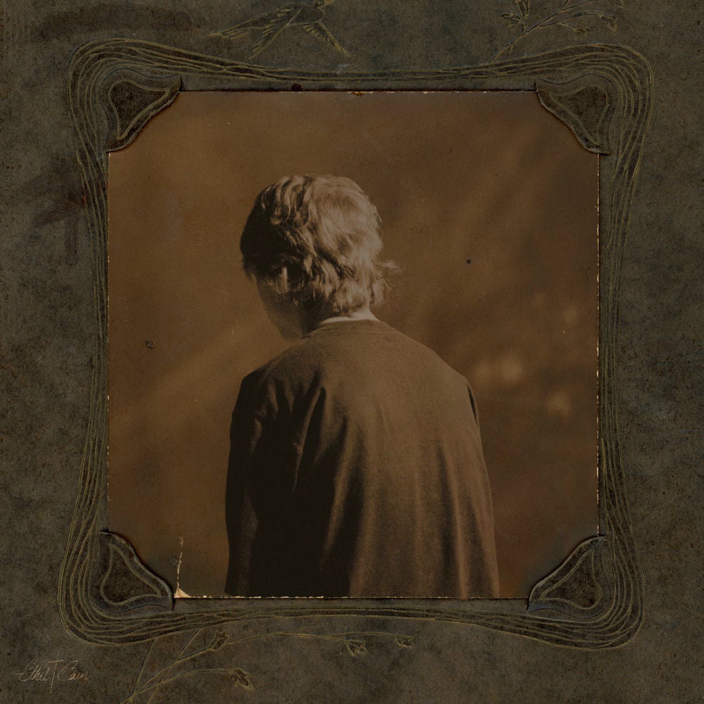 Ethel Cain — Willoughby Tucker, I'll Always Love You, vinyl LP album cover