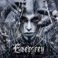 Evergrey — Architects Of A New Weave (Deluxe Version), vinyl LP album cover