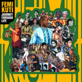 Femi Kuti — Journey Through Life, vinyl LP album cover