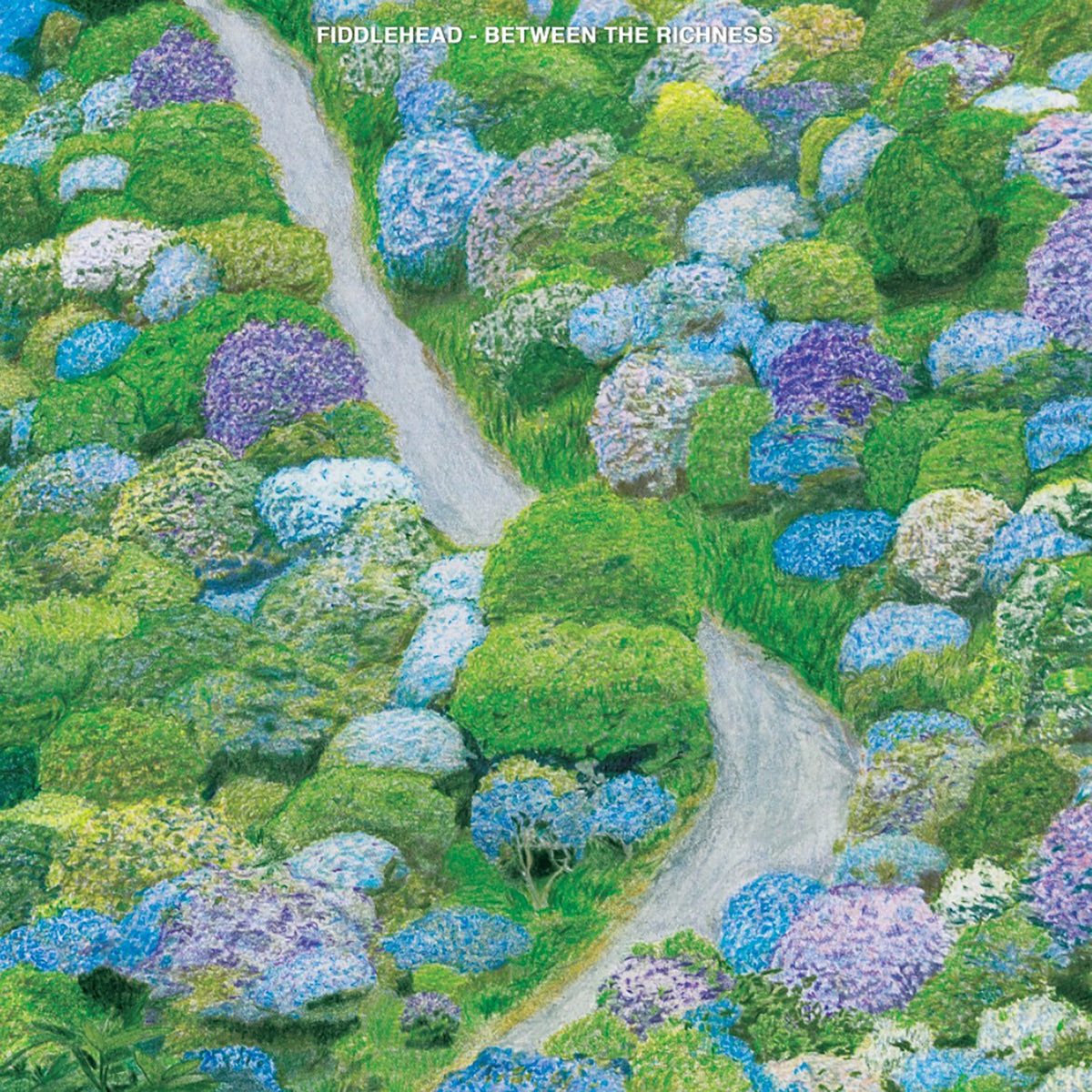 Fiddlehead — Between the Richness, vinyl LP album cover
