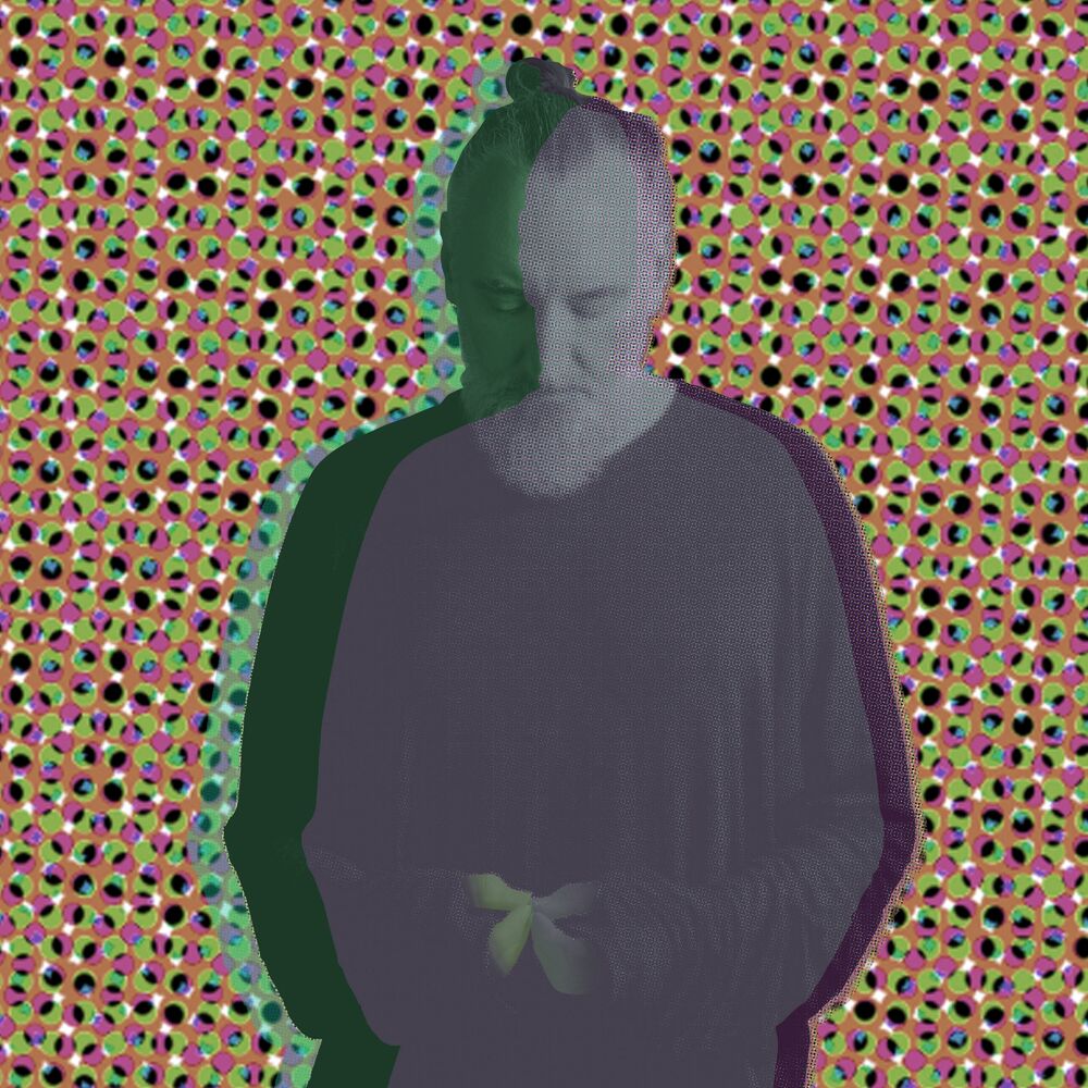 Fink — Beauty In Your Wake (Acoustic), vinyl LP album cover