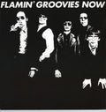 Flamin' Groovies — Now, vinyl LP album cover