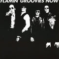 Flamin' Groovies — Now, vinyl LP album cover