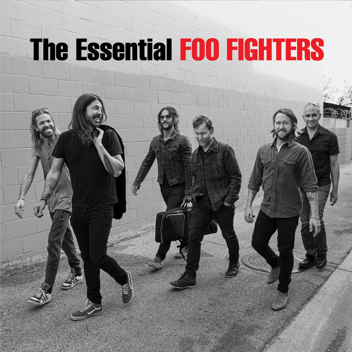 Foo Fighters — The Essential Foo Fighters, vinyl LP album cover