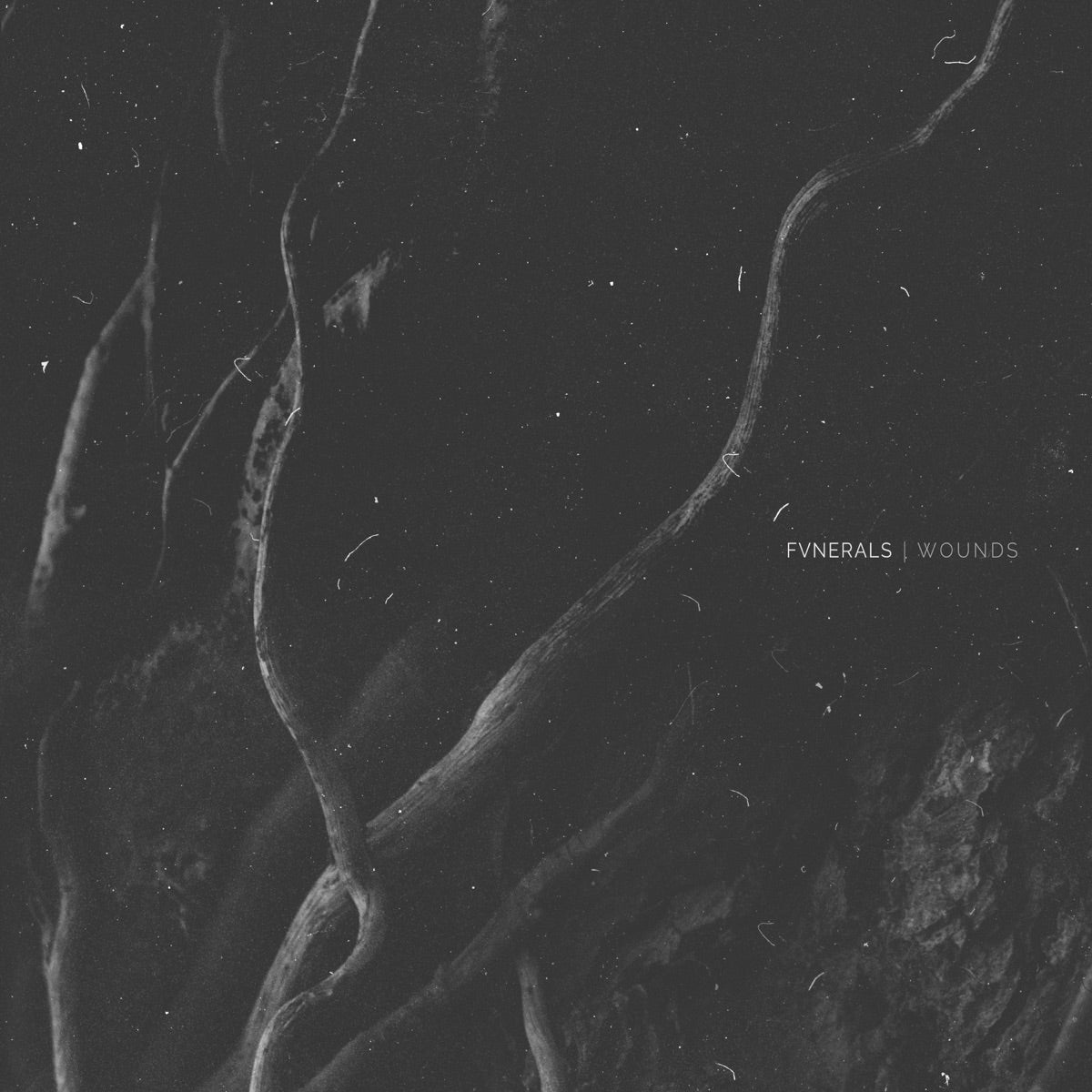Fvnerals — Wounds, vinyl LP album cover