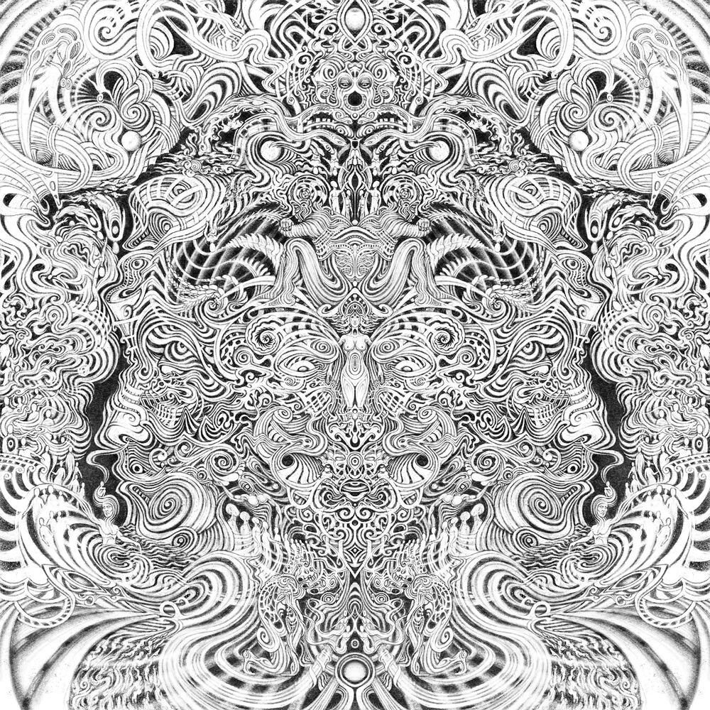 Gaupa — FYR, vinyl LP album cover