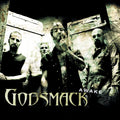Godsmack — Awake, vinyl LP album cover