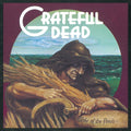 Grateful Dead — Wake of the Flood (50th Anniversary Deluxe Edition), vinyl LP album cover