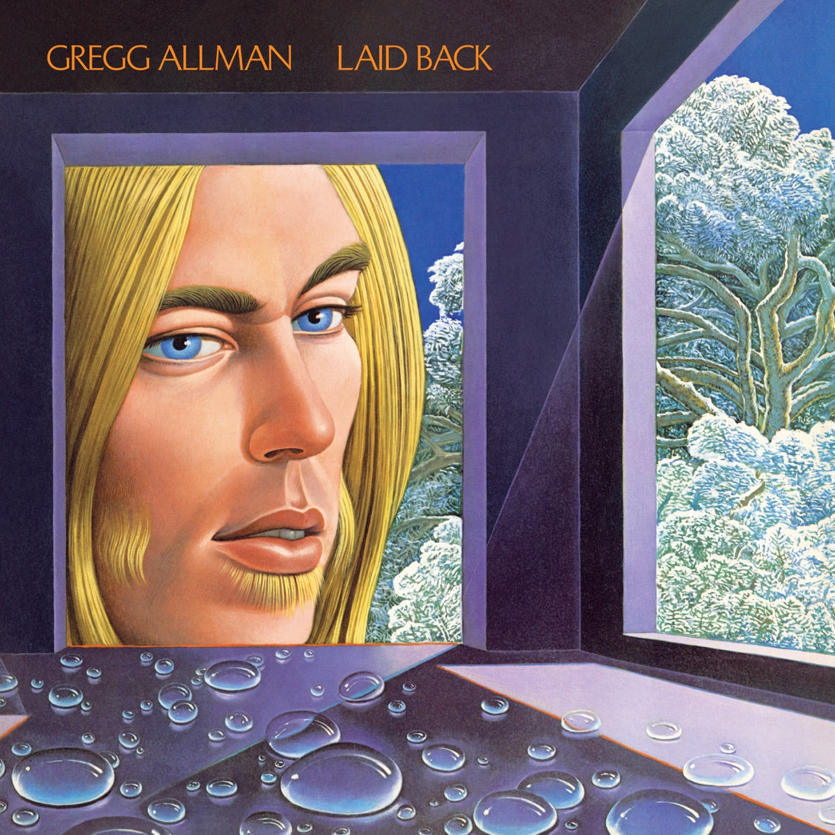 Gregg Allman — Laid Back, vinyl LP album cover