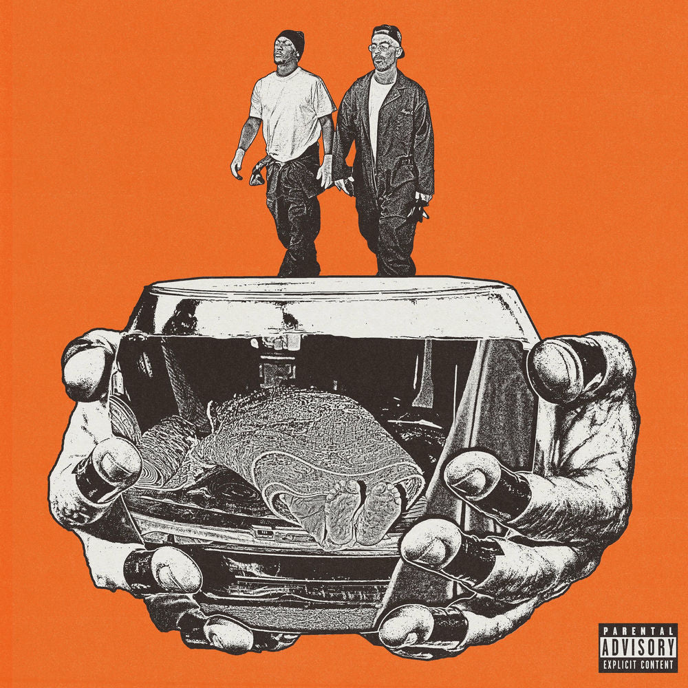Hit-Boy — GOLDFISH, vinyl LP album cover