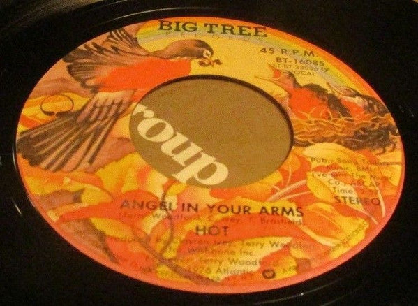 Hot — Angel In Your Arms / Just 'Cause I'm Guilty, 7-inch vinyl single album cover