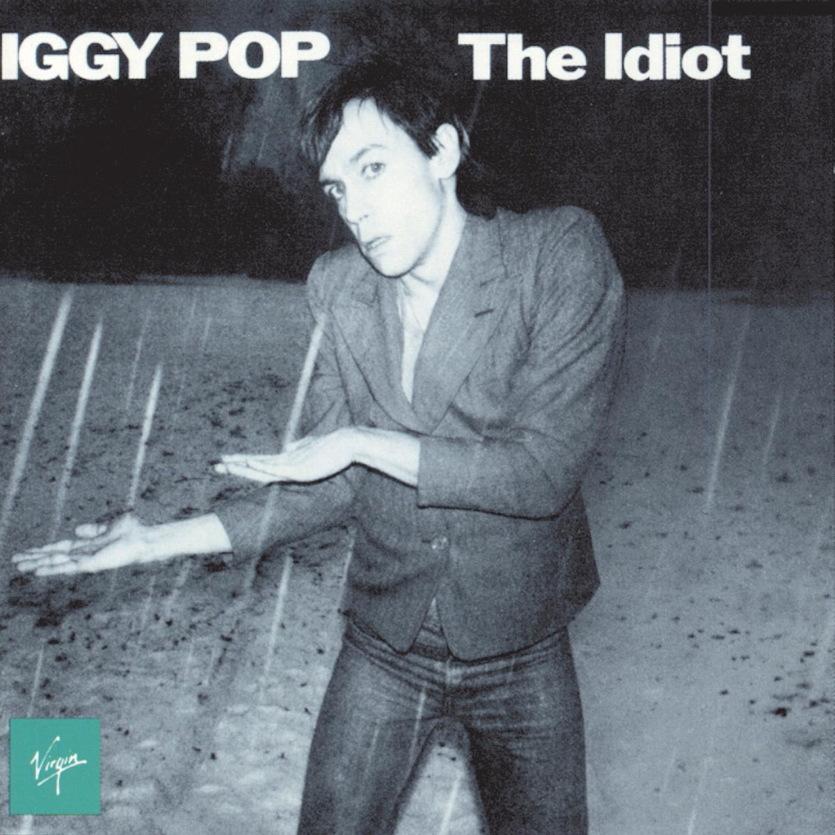 Iggy Pop — The Idiot, vinyl LP album cover
