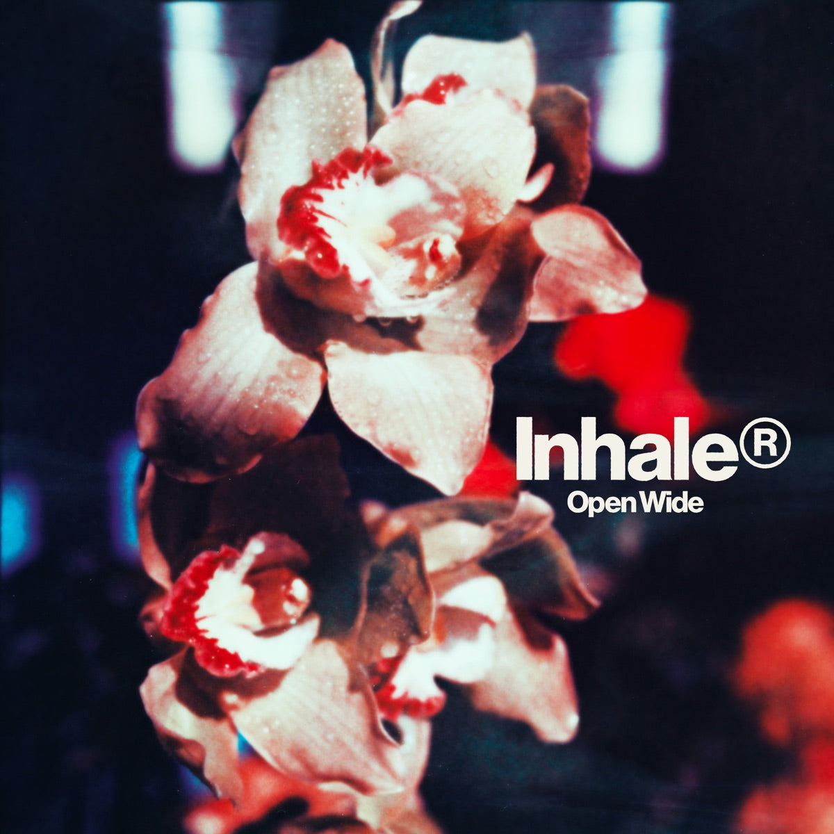 Inhaler — Open Wide, vinyl LP album cover