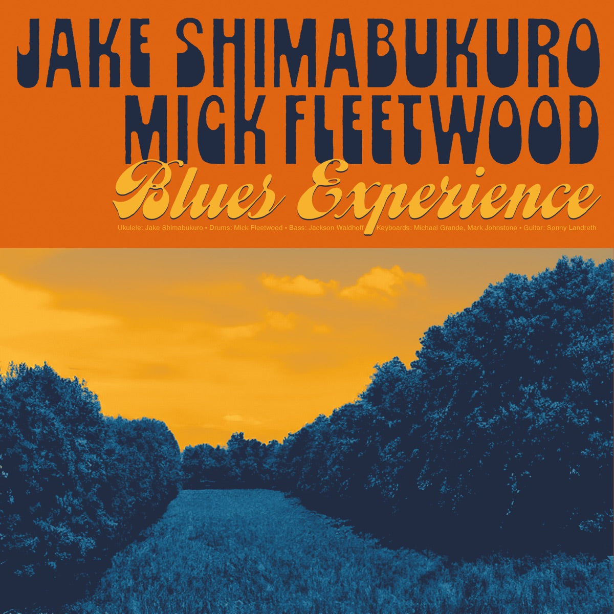 Jake Shimabukuro & Mick Fleetwood — Blues Experience, vinyl LP album cover