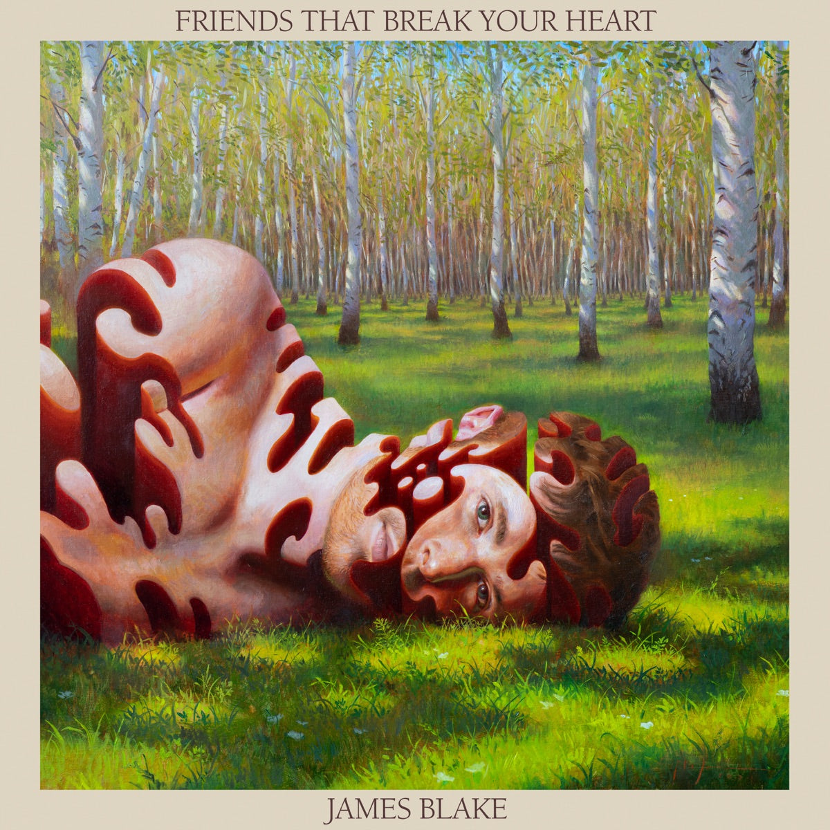 James Blake — Friends That Break Your Heart, vinyl LP album cover