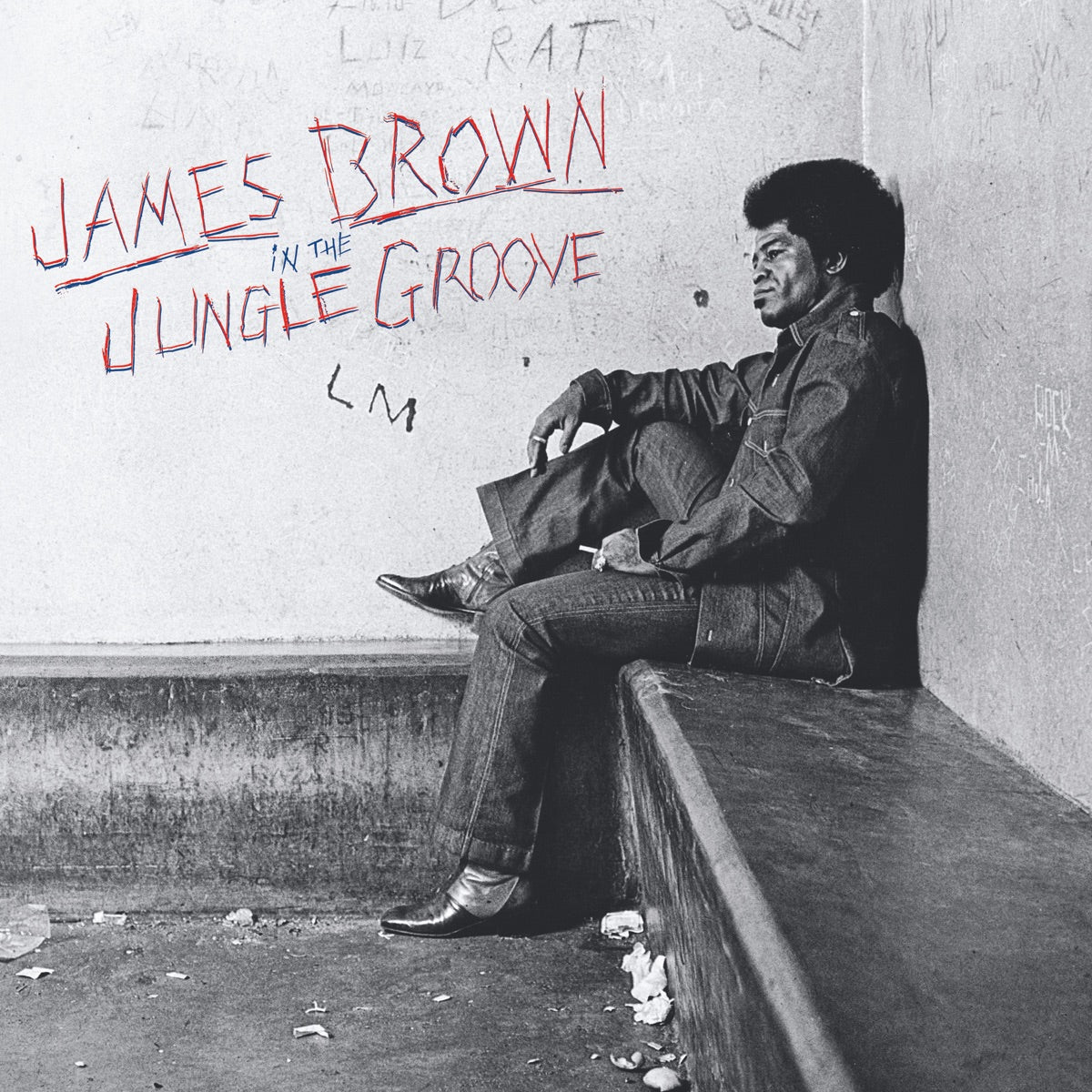 James Brown — In the Jungle Groove, vinyl LP album cover