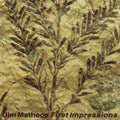 Jim Matheos — First Impressions, vinyl LP album cover
