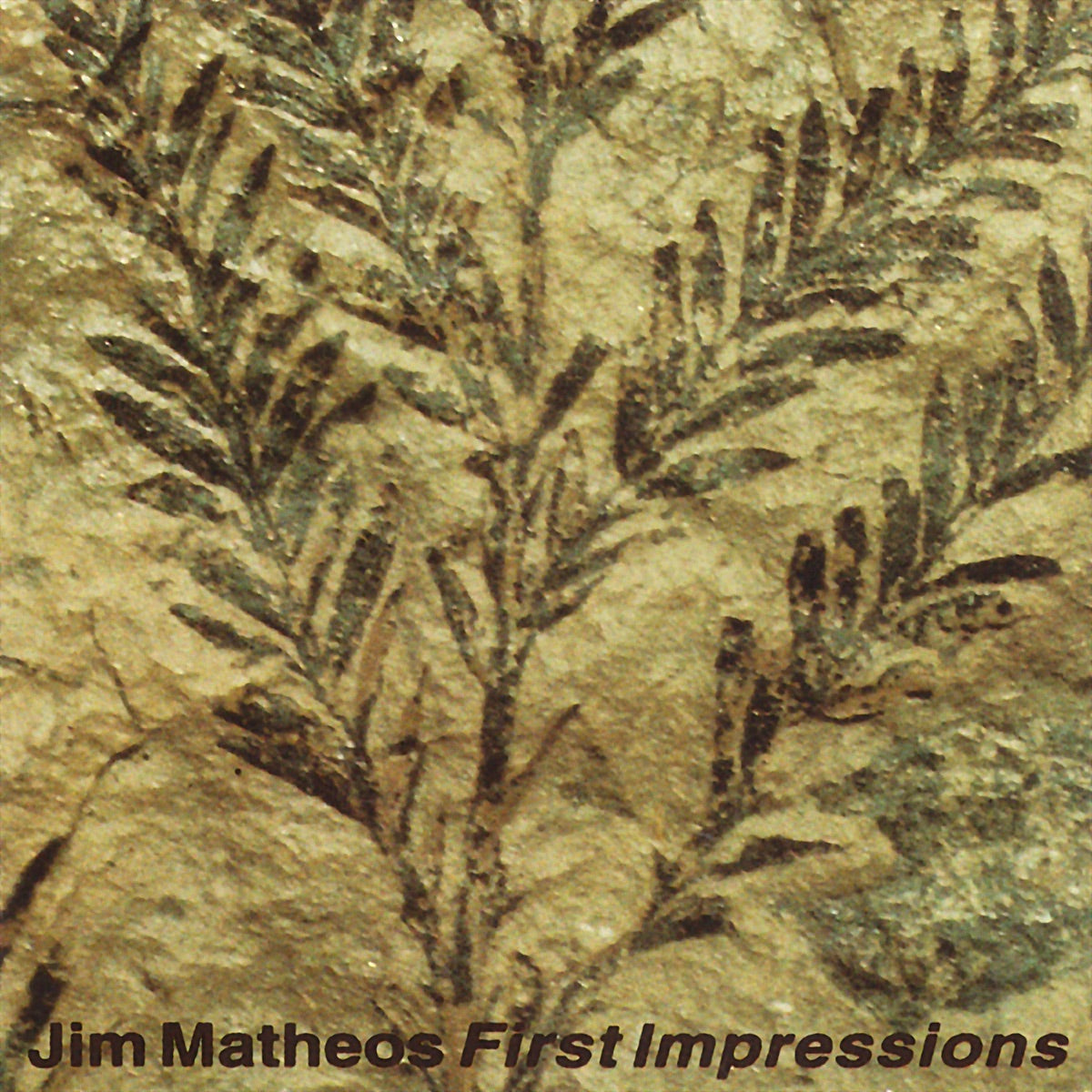 Jim Matheos — First Impressions, vinyl LP album cover