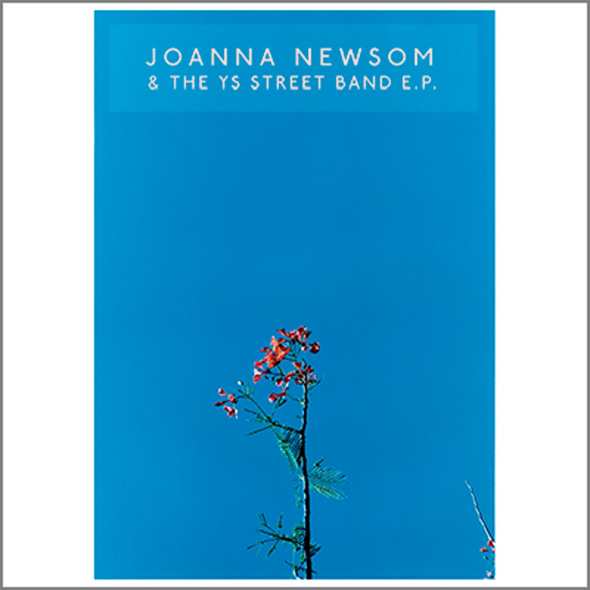 Joanna Newsom — Joanna Newsom & The Y's Street Band - EP, vinyl LP album cover