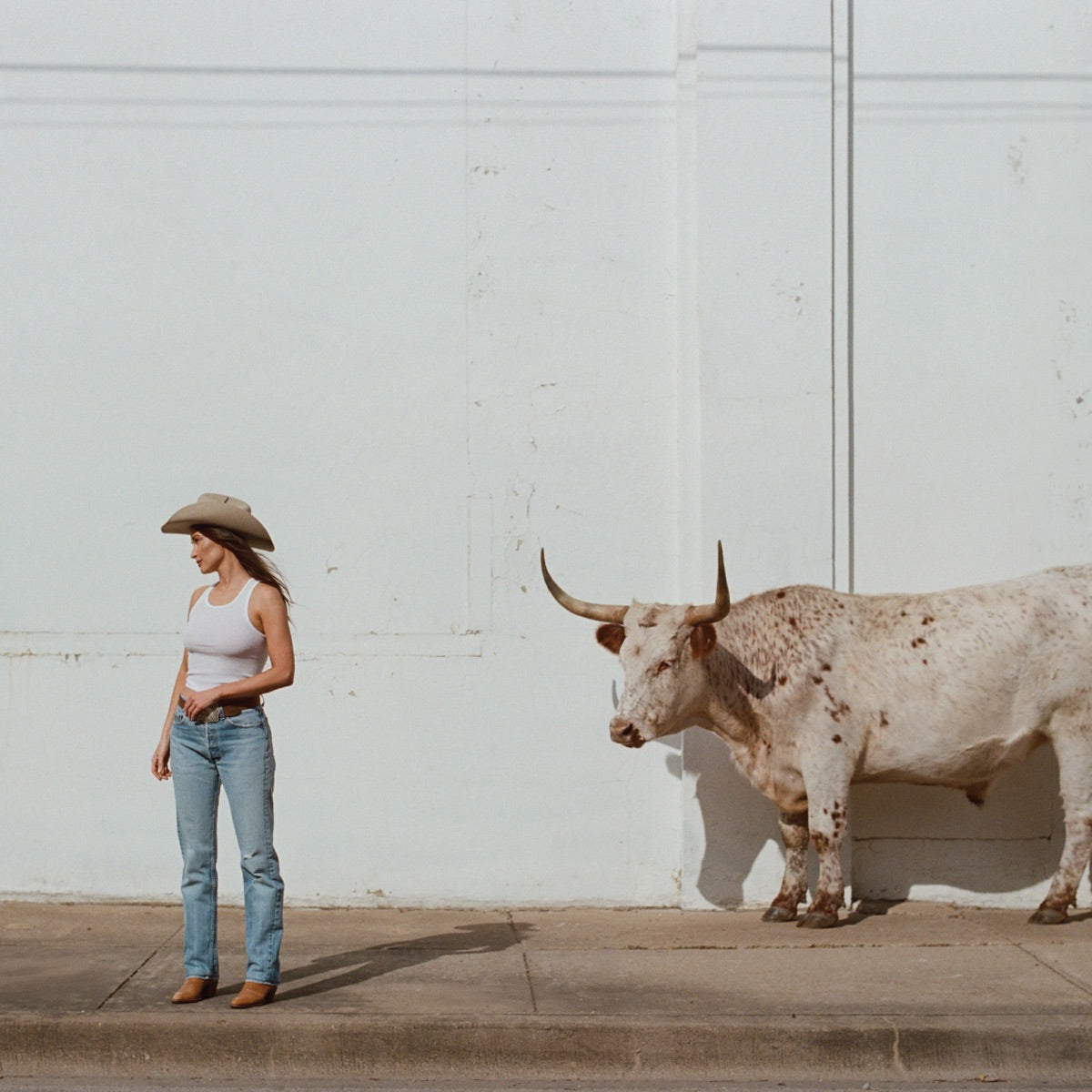 Kacey Musgraves — Middle of Nowhere, vinyl LP album cover