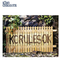 King Creosote — KC Rules OK (New Version), vinyl LP album cover