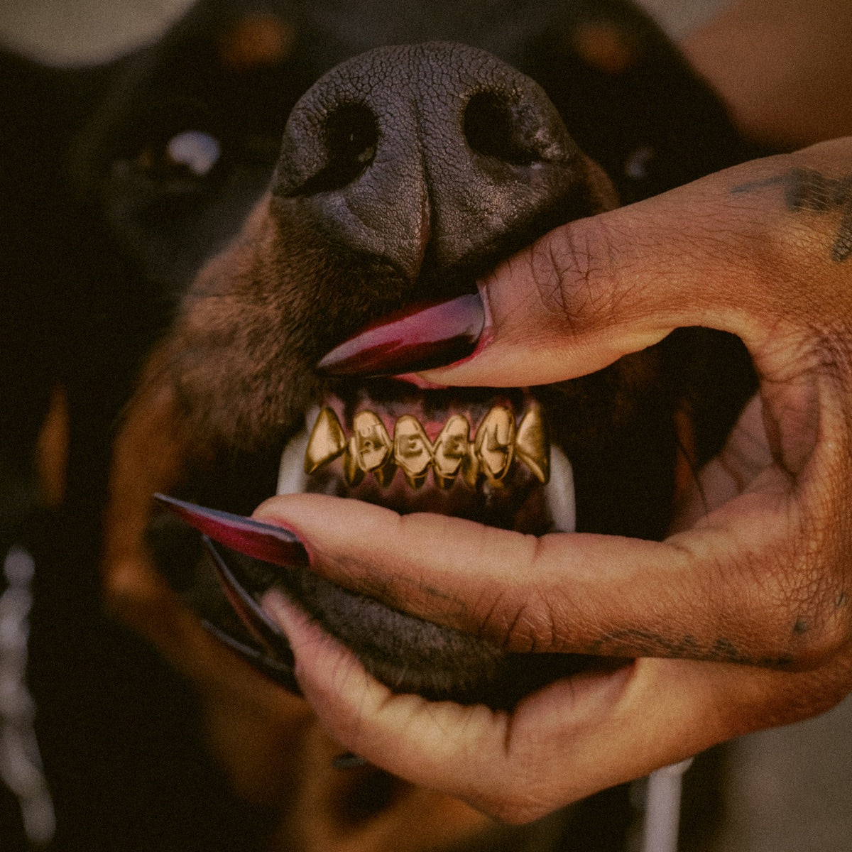 Leon Thomas — MUTT Deluxe: HEEL, vinyl LP album cover