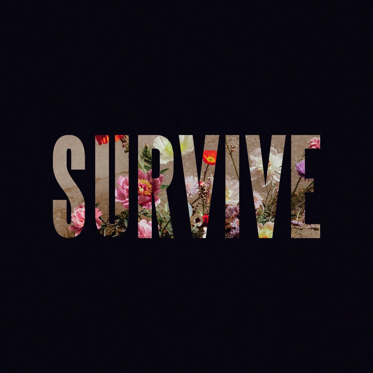 Lewis Capaldi — Survive - EP, vinyl LP album cover