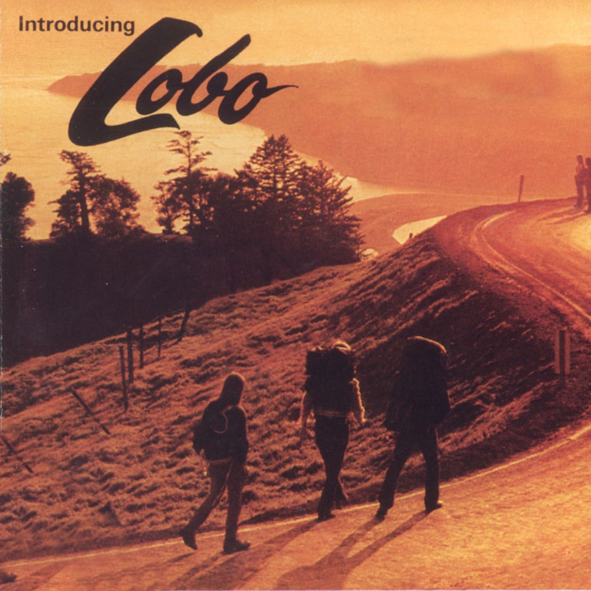 Lobo — Introducing Lobo, vinyl LP album cover
