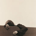 Mad Honey — Bridge Over Cumberland, vinyl LP album cover