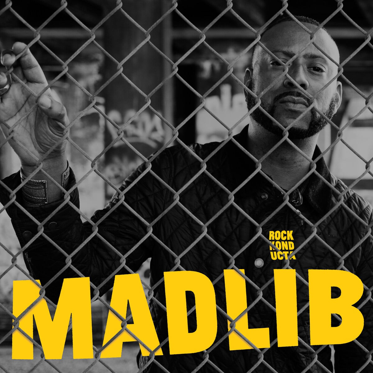 Madlib — Rock Konducta, Pt. 2, vinyl LP album cover