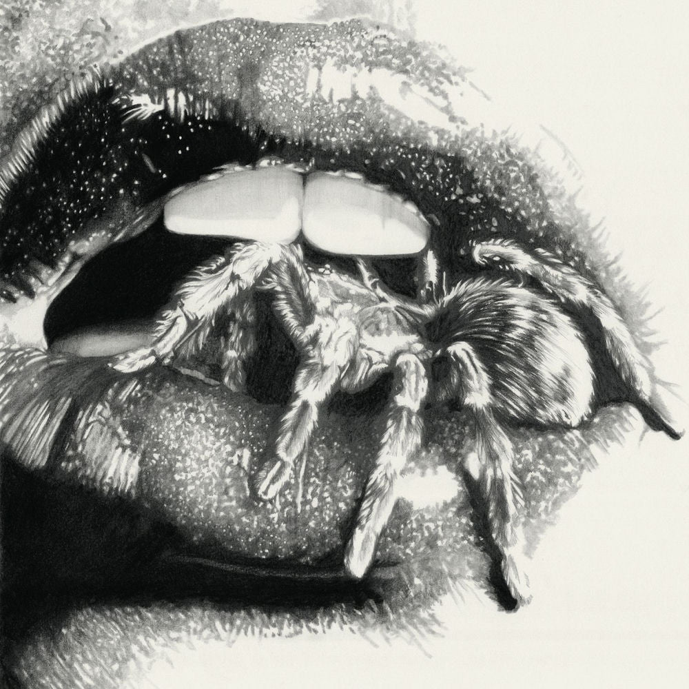 Masheena — Let The Spiders In, vinyl LP album cover