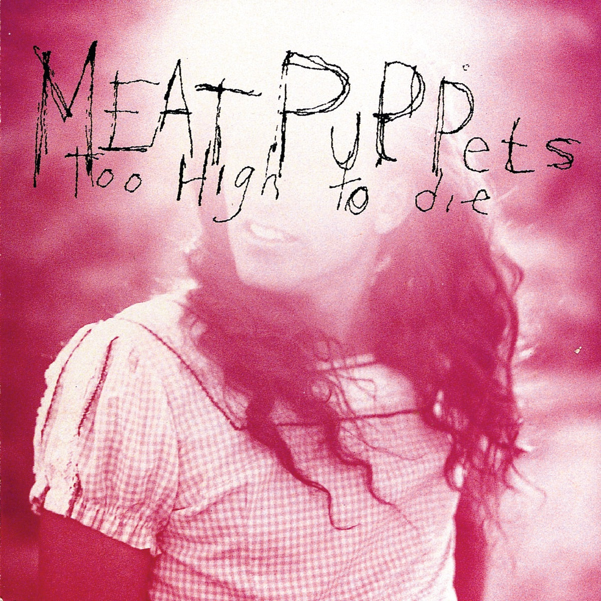 Meat Puppets — Too High to Die, vinyl LP album cover