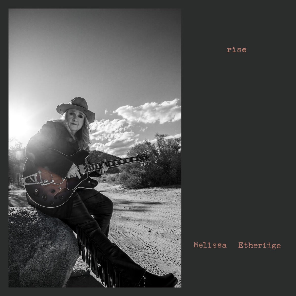 Melissa Etheridge — Rise, vinyl LP album cover