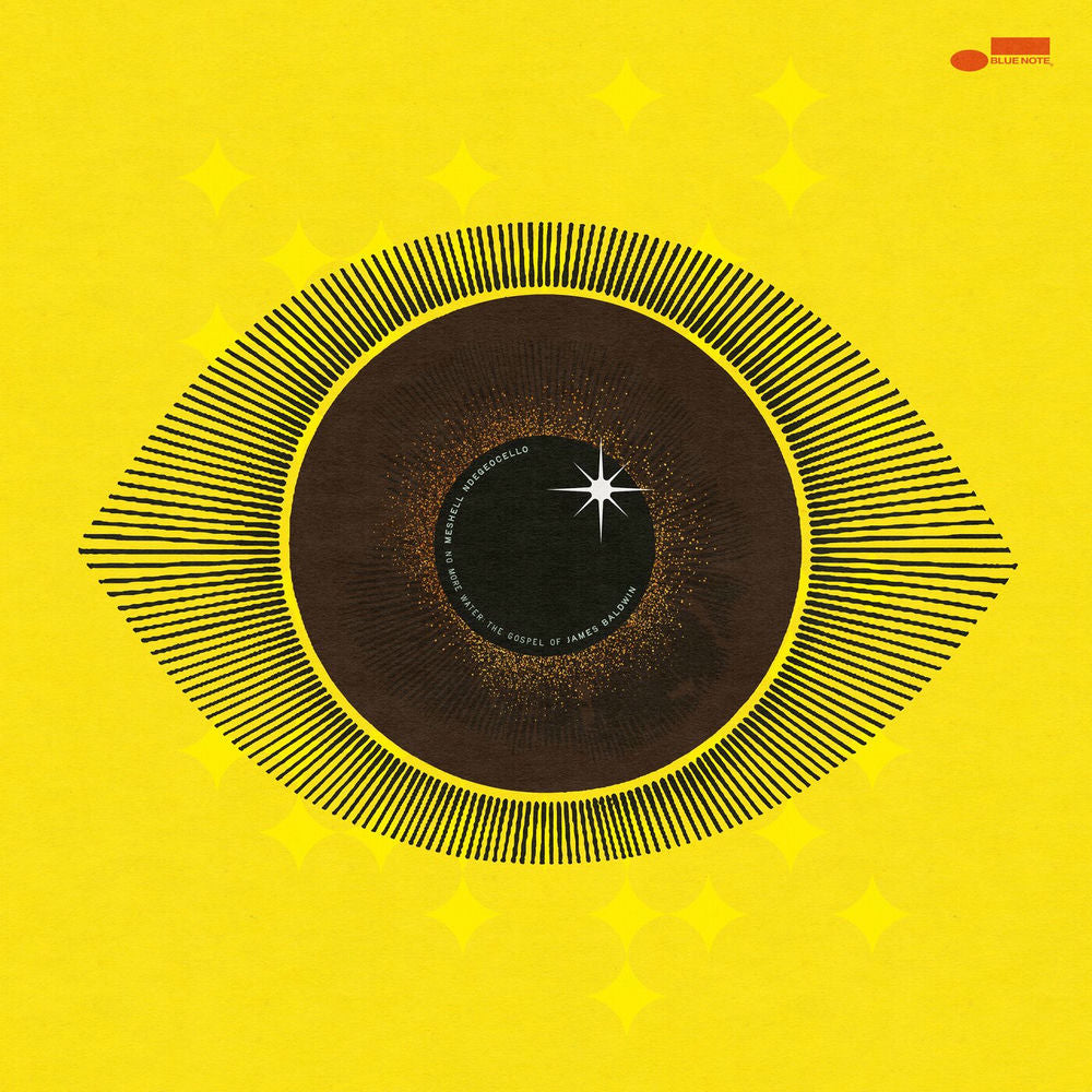 Meshell Ndegeocello — No More Water: The Gospel Of James Baldwin, vinyl LP album cover
