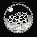 Modest Mouse — An Eraser And A Maze, vinyl LP album cover