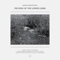 Moving Mountains — Pruning of the Lower Limbs, vinyl LP album cover