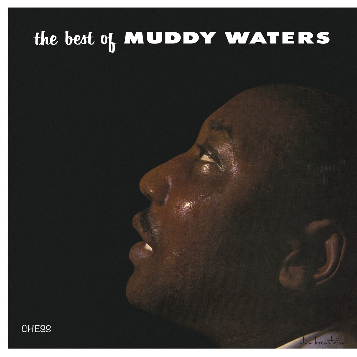 Muddy Waters — The Best of Muddy Waters, vinyl LP album cover