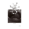 Mute Swan — Skin Slip, vinyl LP album cover