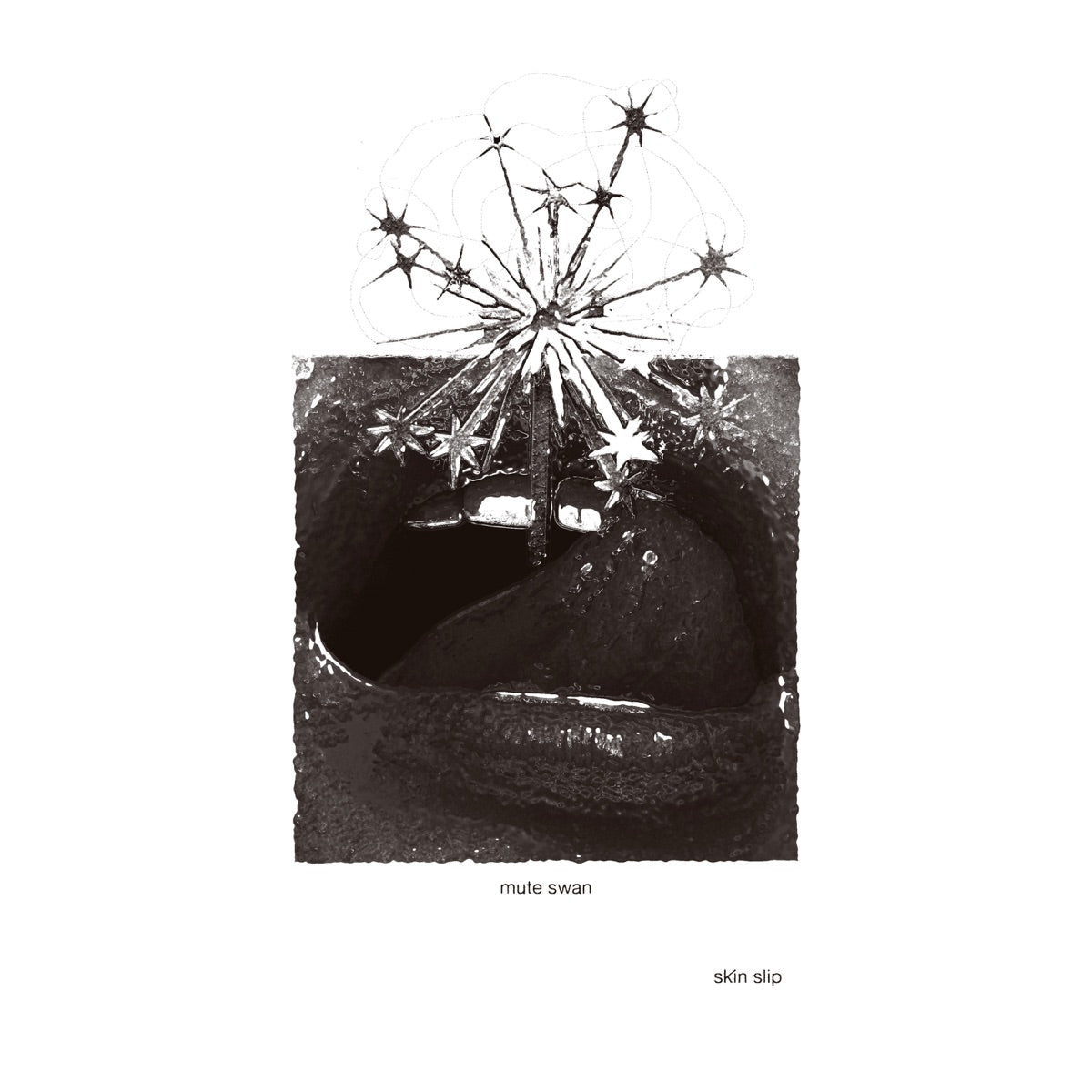 Mute Swan — Skin Slip, vinyl LP album cover