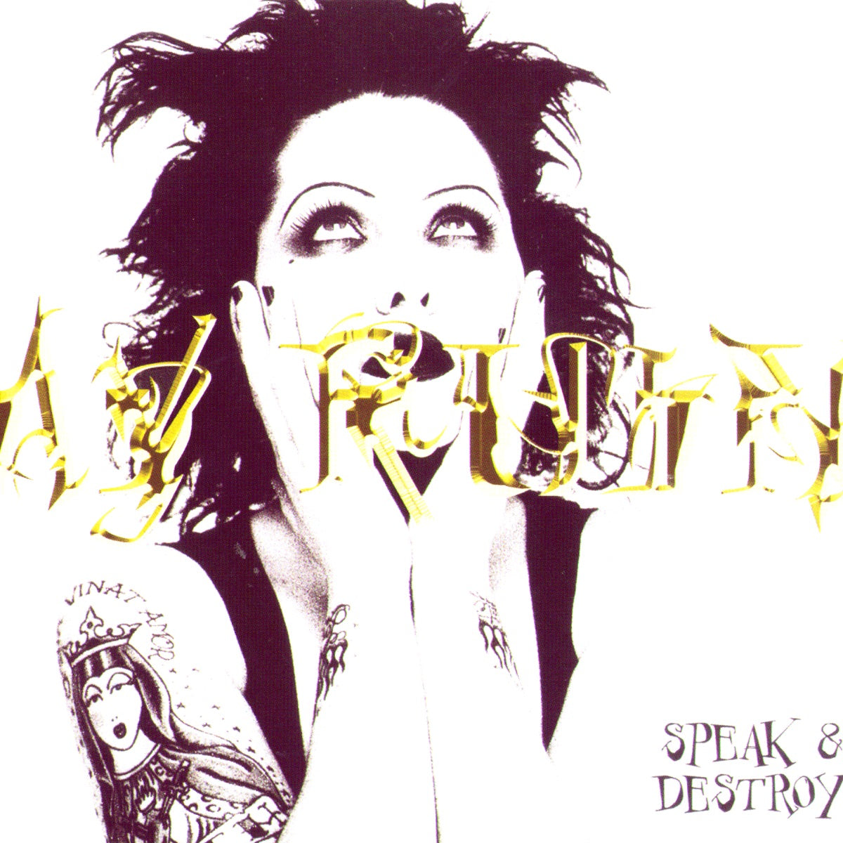 My Ruin — Speak & Destroy, vinyl LP album cover