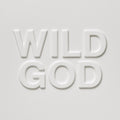 Nick Cave & The Bad Seeds — Wild God, vinyl LP album cover