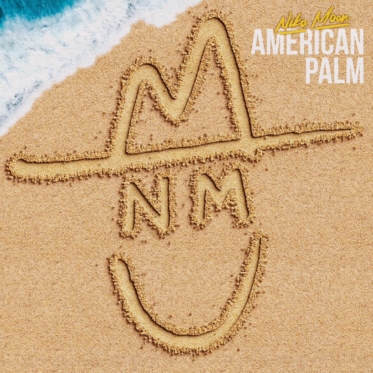 Niko Moon — AMERICAN PALM, vinyl LP album cover