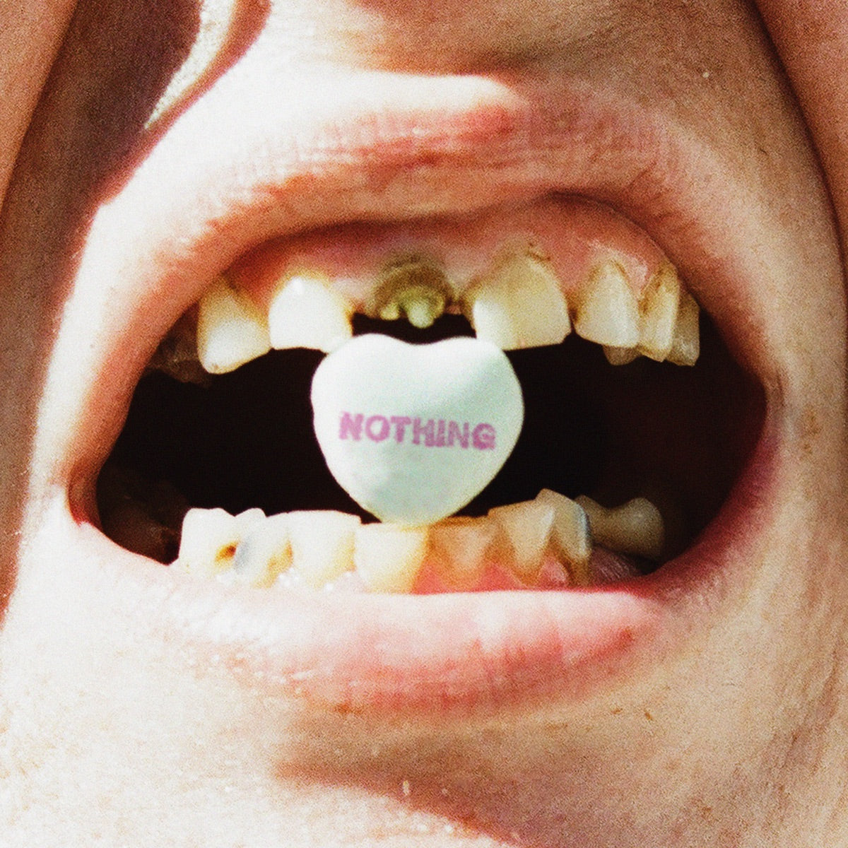 Nothing — a short history of decay, vinyl LP album cover
