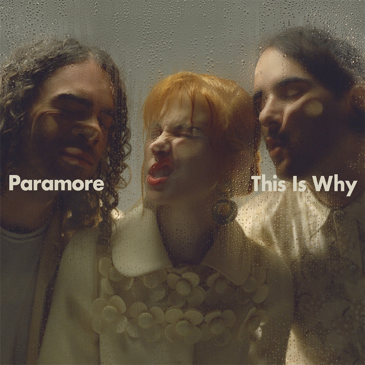 Paramore — This Is Why, vinyl LP album cover