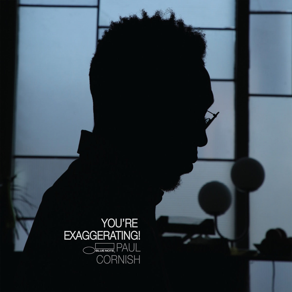 Paul Cornish — You’re Exaggerating!, vinyl LP album cover