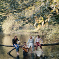 Paul McCartney — Wild Life, vinyl LP album cover