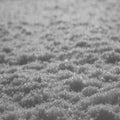 Paysage d'Hiver — Schnee, vinyl LP album cover