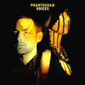 Phantogram — Voices (Expanded Edition), vinyl LP album cover