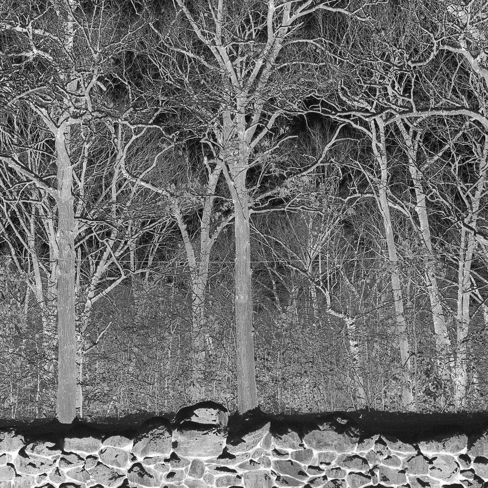 Pile — Sunshine and Balance Beams, vinyl LP album cover