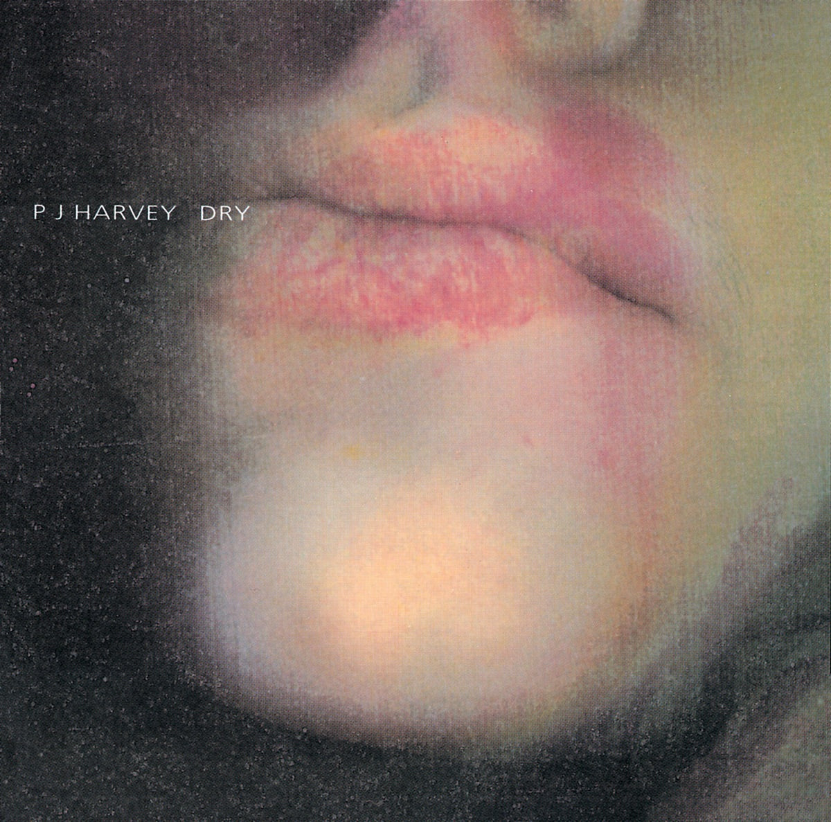 PJ Harvey — Dry, vinyl LP album cover